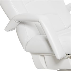 Removable Armrests | Capella and Auriga
