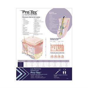 Poster | Pro-Tec Guide | Small